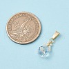 Glass Seed Beaded Pendants PALLOY-MZ00590-03-2
