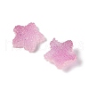 Imitation Candy Food Style Resin Cabochons RESI-R461-02G-2
