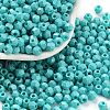 Baking Paint Glass Seed Beads SEED-A032-02H-1