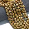 Natural Picture Jasper Beads Strands G-K389-A63-01-2