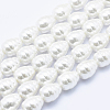 Electroplate Shell Pearl Beads Strands BSHE-G009-A-02-1