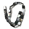 Natural Black Lip Shell Beads Strands BSHE-D300-03-10x14mm-2