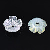 5-Petal Electroplate Acrylic Bead Caps PACR-T014-05-3