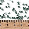 Baking Paint Glass Seed Beads X-SEED-S042-15A-15-4