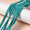 Natural Howlite Beads Strands G-C025-15B-2