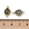 Natural Labradorite Faceted Connector Charms G-L514-048P-05-3