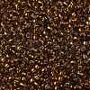 TOHO Round Seed Beads SEED-XTR08-2152S-2