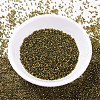 MIYUKI Delica Beads SEED-X0054-DB0604-2