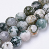 Natural Tree Agate Beads Strands G-S281-15-10mm-1