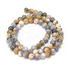 Natural Dyed Persian Jade Gemstone Bead Strands G-R271-8mm-XP26-1