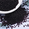 MIYUKI Round Rocailles Beads SEED-X0054-RR2402-4