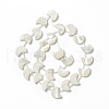 Natural Trochid Shell/Trochus Shell Beads Strands SHEL-F004-01B-2