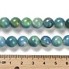 Dyed Natural Fire Crackle Agate Beads Strands G-G203-09A-10mm-5