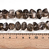 Natural Smoky Quartz Beads Strands G-B072-C01-02-01-4