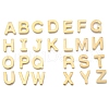 304 Stainless Steel Charms X-STAS-P141-2