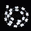 Natural White Shell Beads Strands SSHEL-S278-124A-2