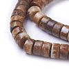 Natural Picture Jasper Beads Strands G-G783-09B-3