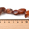 Natural Carnelian Beads Strands G-S386-C06-5