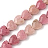 Natural Rhodonite Beads Strands G-D316-B06-2