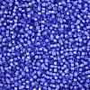 12/0 Grade A Round Glass Seed Beads SEED-N001-D-13/212-2