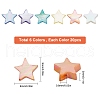 SUNNYCLUE 120Pcs 6 Colors Freshwater Shell Beads Strands SHEL-SC0001-14-2