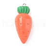 Opaque Resin Pendants RESI-G107-04A-1