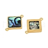 Brass Pave Natural Paua Shell Connector Charms KK-M299-01A-G-2