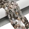 Natural Green Lodolite Quartz Beads Strands G-P497-01E-05-2