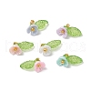 6pcs Resin Imitation Pearl Charms PALLOY-JF03423-1