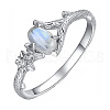 Oval & Flower Zinc Alloy with Natural Moonstone Finger Rings for Women FS-WG00FFC-01-5