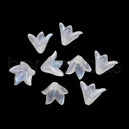 Transparent Acrylic Bead Caps OACR-A020-01-1