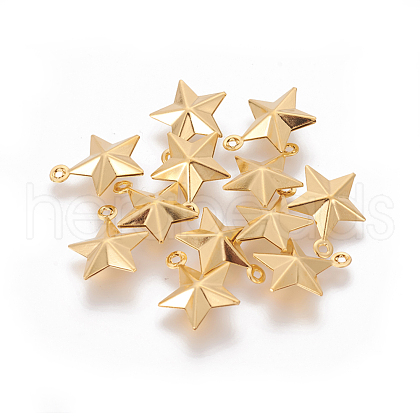 304 Stainless Steel Charms X-STAS-G191-05G-1