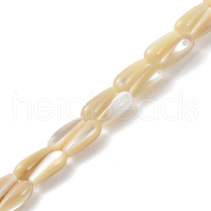 Natural Trochus Shell Beads PEAR-B002-01A-B-1