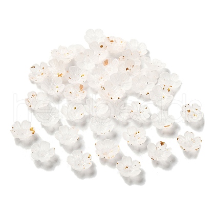 Acrylic Bead Caps OACR-Z028-03H-1