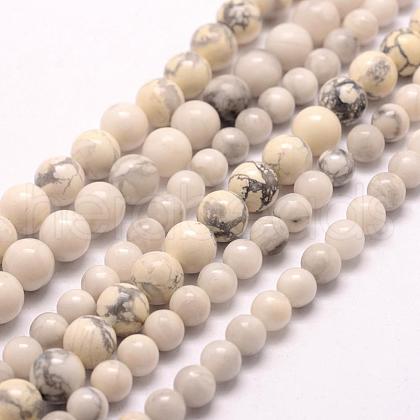 Natural Howlite Beads Strands G-E380-08-6mm-1