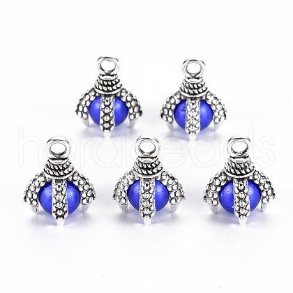 Tibetan Style Alloy Charms PALLOY-S120-249E-RS-1