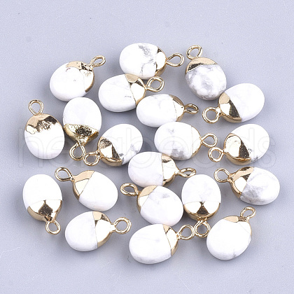 Electroplate Natural Howlite Charms X-G-S344-09F-1