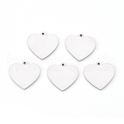Tarnish Resistant 201 Stainless Steel Charms STAS-N092-72-1