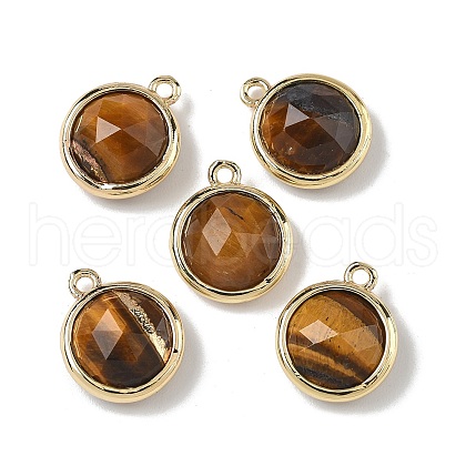 Brass Pave Natural Tiger Eye Faceted Flat Round Charms G-U028-03G-02-1