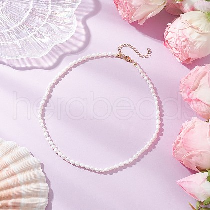 Natural Keshi Pearl Two Sides Polished Beaded Necklaces for Women NJEW-JN05336-01-1