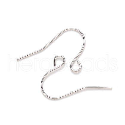 304 Stainless Steel Earring Hooks STAS-S111-009-1