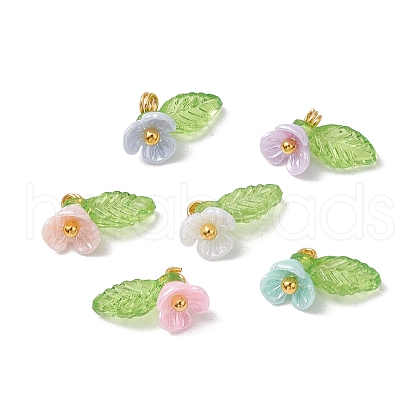 6pcs Resin Imitation Pearl Charms PALLOY-JF03423-1