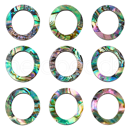 WADORN 25Pcs Natural Abalone Shell/Paua Shell Cabochons SHEL-WR0001-01-1